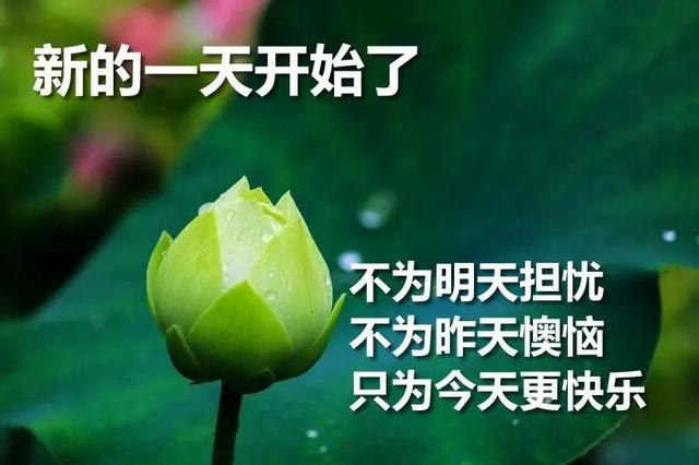 「2022.04.30」早安心语，正能量励志经典语句 4月再见，5月你好