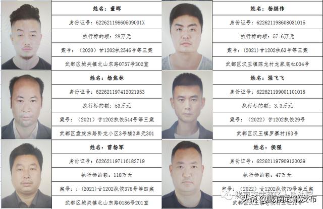 曝光! 武都区法院公布2022年第一批失信被执行人名单（172人）