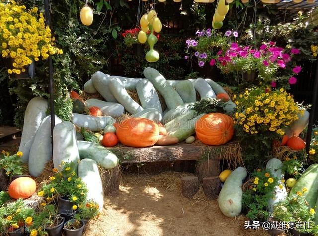 吃冬瓜有助于消散甲状腺结节?常吃5种食物，甲状腺会给你“惊喜”