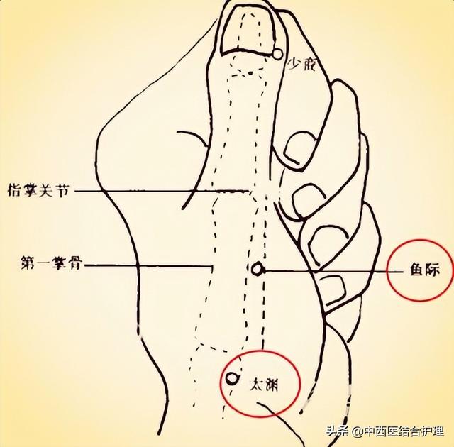 「中医穴位养生」中医不是“慢郎中”，这些穴位很快解决病痛