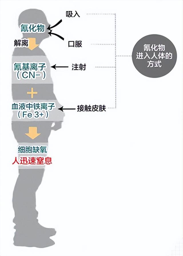 偷狗贼用药水喷狗，60秒后狗死亡，什么药这么毒，喷到人怎么办？