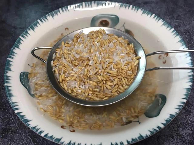 燕麦米和生姜炒一炒，没想到这么厉害，我家一年四季都在喝