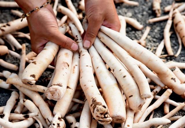 所谓失眠，不过是气虚脾虚！一张方子既可益气温阳又可健脾助运