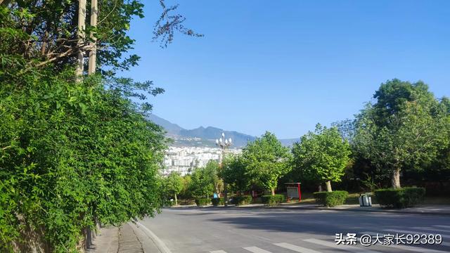 春归时，我把春天收藏