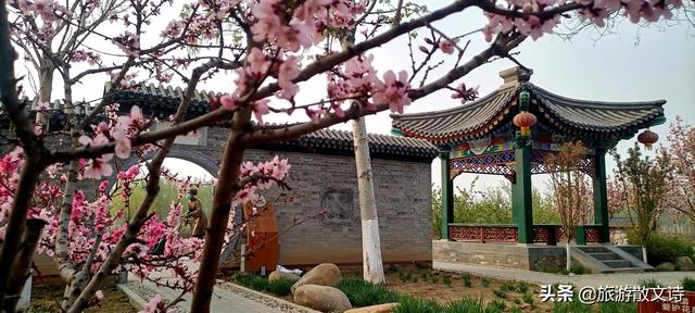 花开杨柳青
