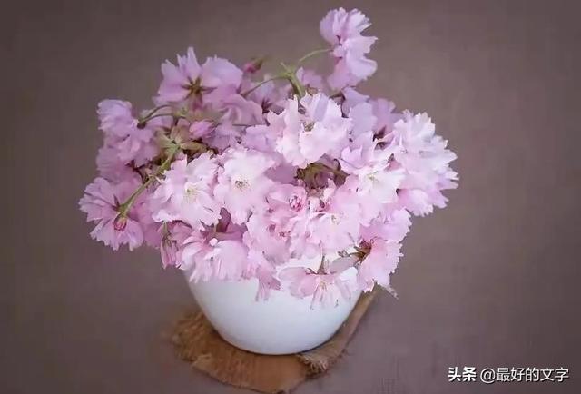 此文，送给可怜的自己！（深度好文）