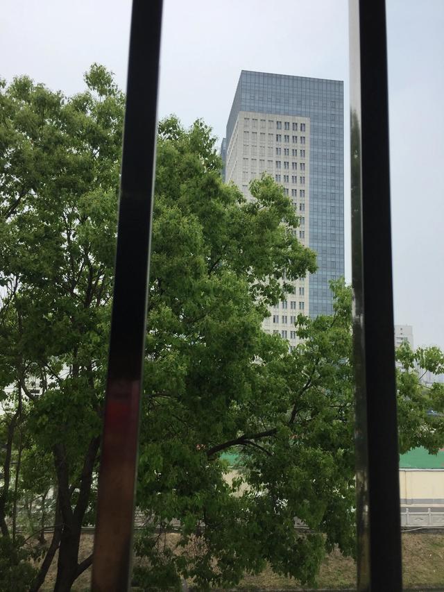 疫情下的陪护人