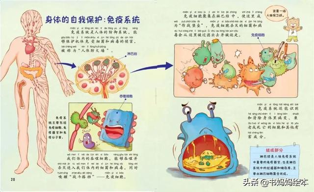 《中国幼儿百科全书》|引导孩子寻找答案、丰富科学知识的百科