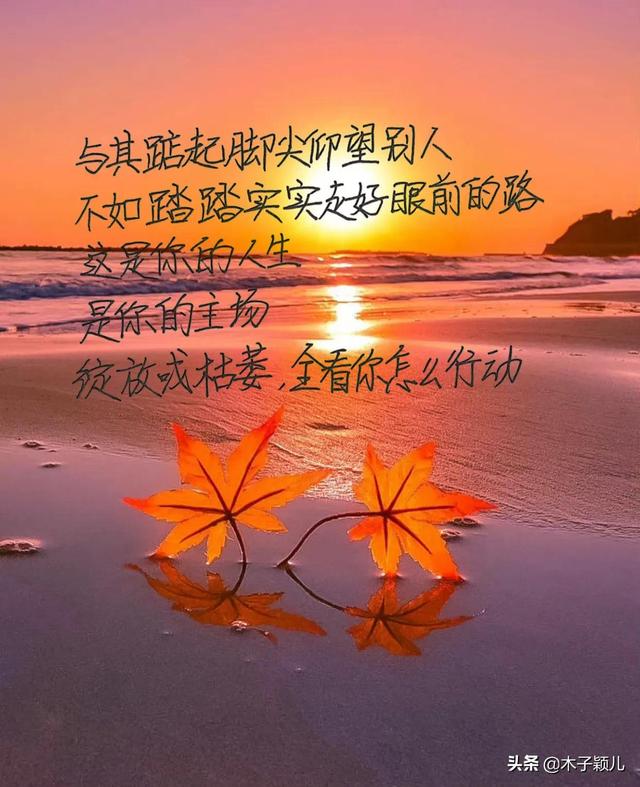 抄书有收益第17天：不羡慕，不强求，认真做个快乐的普通人