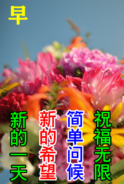 早安正能量唯美短句心语（2022.10.18早安心语正能量精致语录）(48)