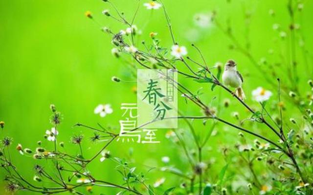 手绘：X天体运行时节角度