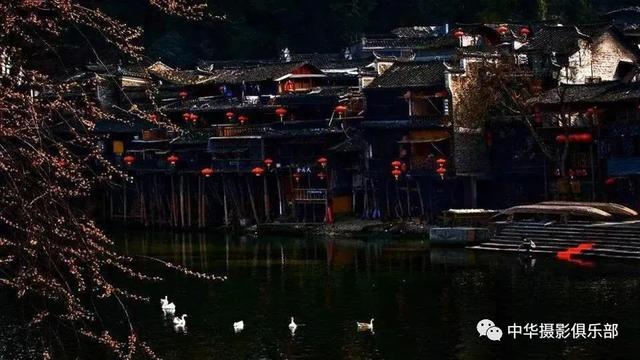 太美了！金奖摄影作品欣赏——