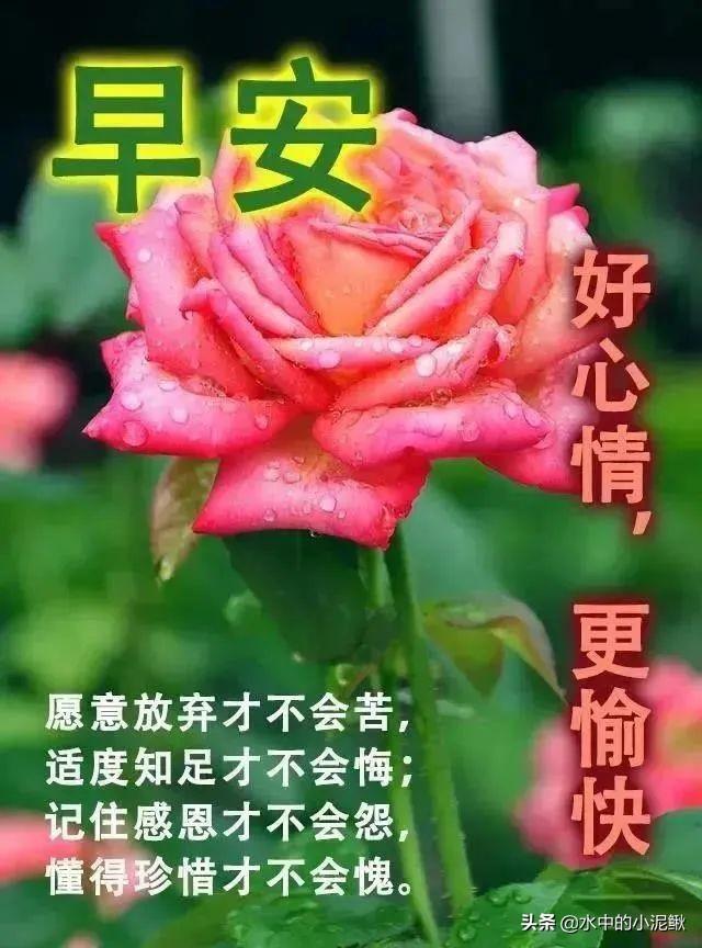正能量的早安句子致自己 送给自己的早安心语经典