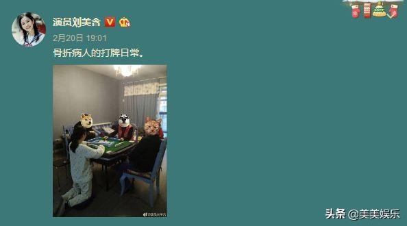 黑魔仙刘美含考北大研究生，高考保送北外！娱乐圈真学霸来了