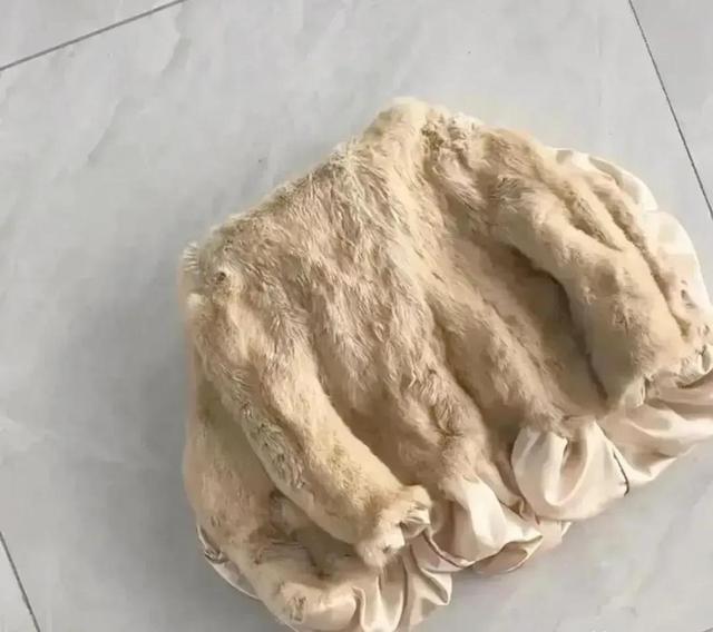 花巨款购豪装，因无知酿残果，后悔晚矣