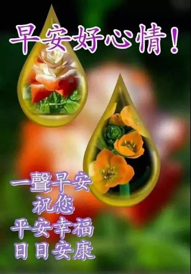 适合清晨发给亲朋好友的早上好问候句子以及祝福图片