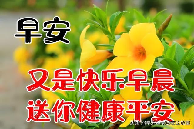 朋友圈早安唯美语录短句，新的一天，新的起点，美好的一天开始了