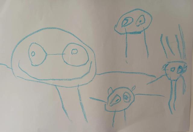 我的双休日之三