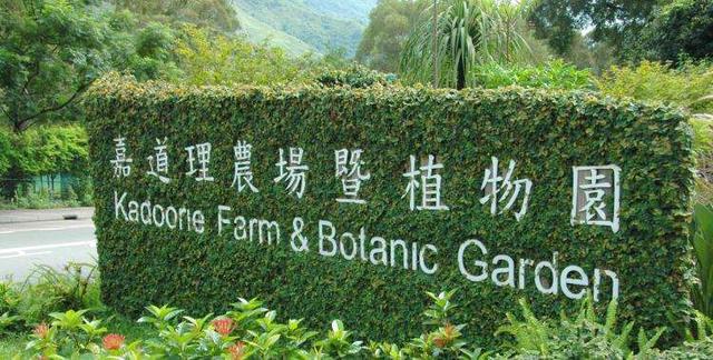 香港单日新增又破5万，李嘉诚出手之后，又一个隐形富豪出手了