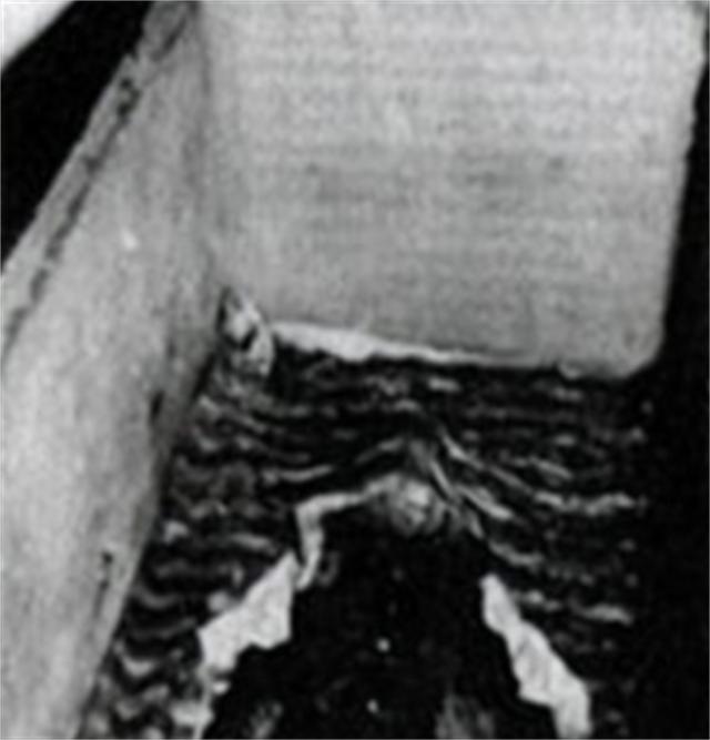 1983年12月，慈禧内棺清理小组成立，专家在棺材里发现了什么？