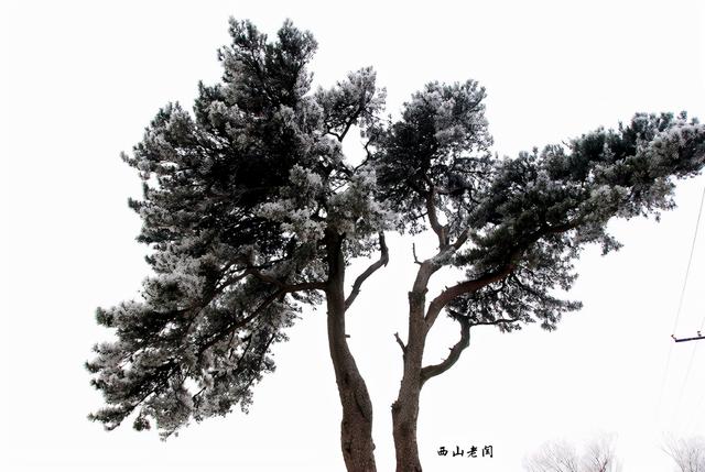 鐵坨山不是北京百慕大