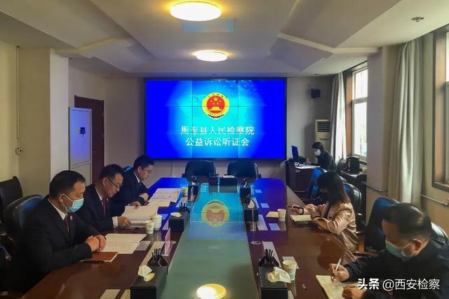 乡愁情思寄古树，检察听证护“绿色记忆”
