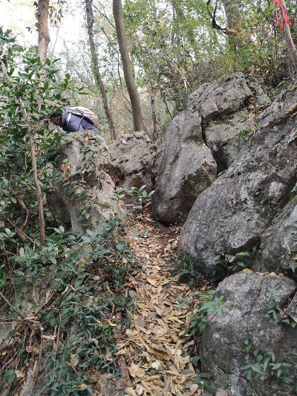 浙江這座178米小山，竟是皇城遺址？大多數人的杭州玩法，有遺憾