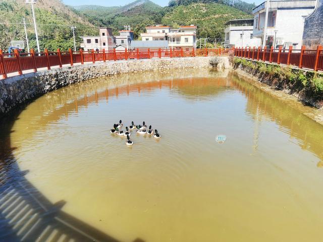 广西锤式鹅卵石制砂机供应商