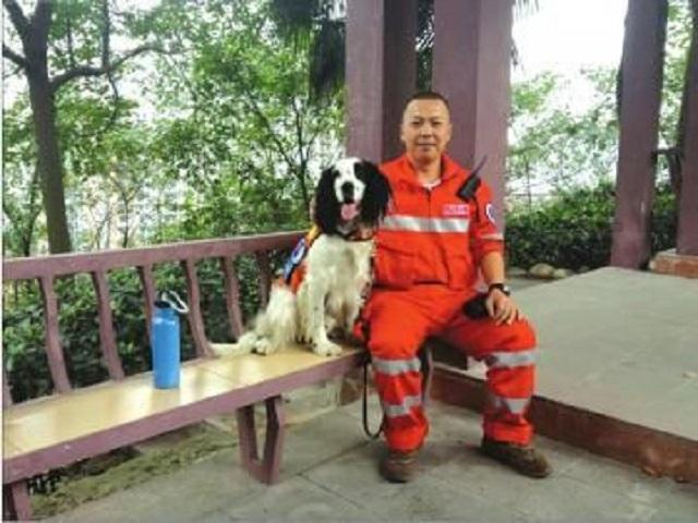 明明有生命探测仪，为何搜救犬仍必不可少？