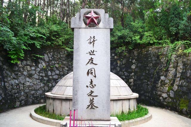 陈毅对许世友说：粟裕命令你撤你就得撤，不行就撤了你