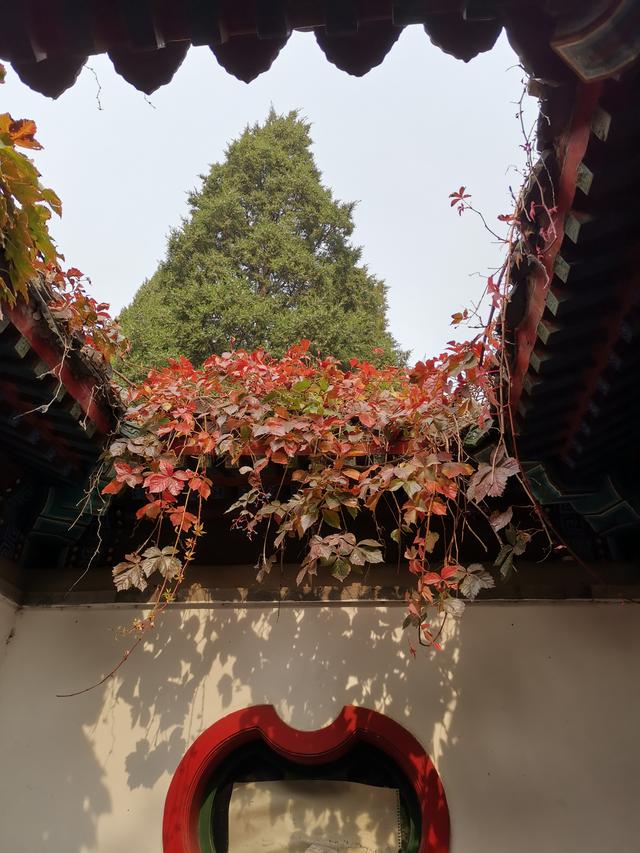北京，缤紛的秋