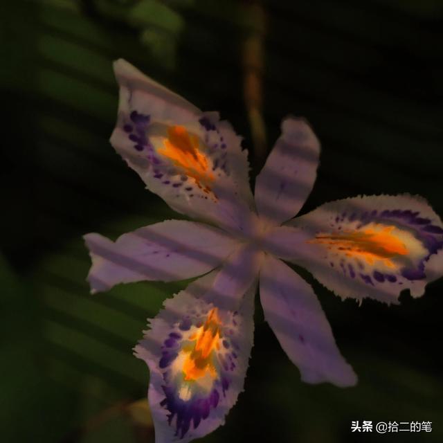 站在有光的角落