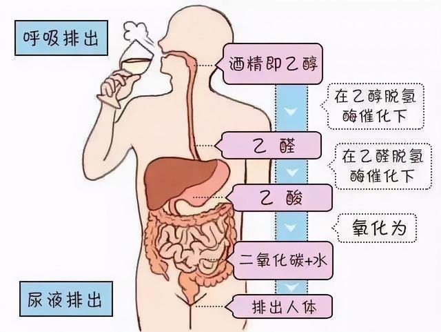 头孢配酒，说走就走！除了头孢，这8种药也别沾酒，你在吃吗？