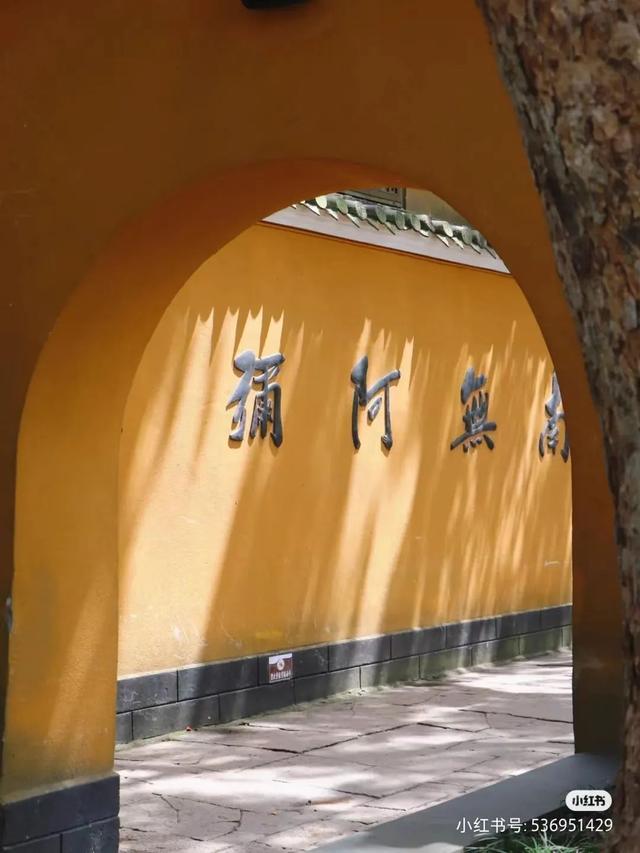 去普陀山要准备6味还是五味（跟着小红书解锁）(7)