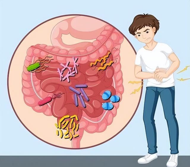 黄芪的“黄金拍档”被找到？医生：每天喝一点，气血通畅，有活力