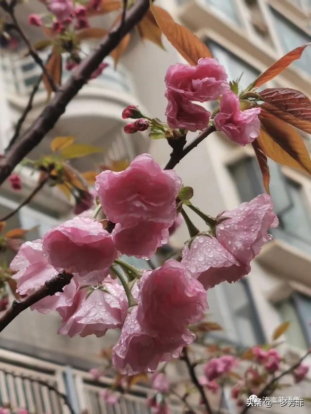 最美不止下雨天