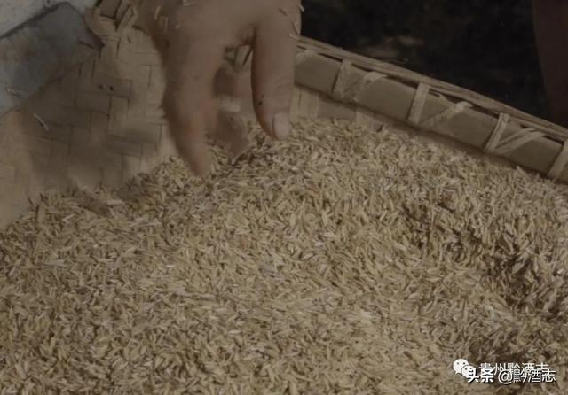 黔酒志：人生如酱酒，读懂酱酒就读懂了人生