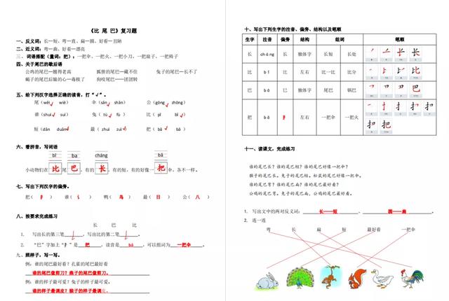 比的笔画笔顺