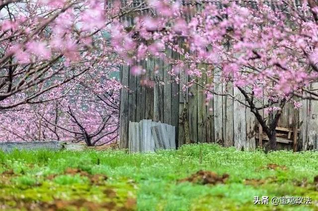 三月初三“上巳节”：一个被国人渐渐淡忘的节日