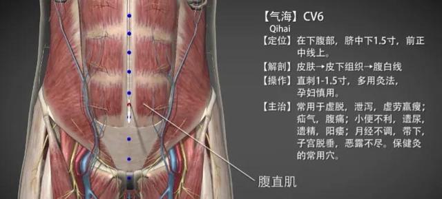 气海穴—补气养气保健要穴
