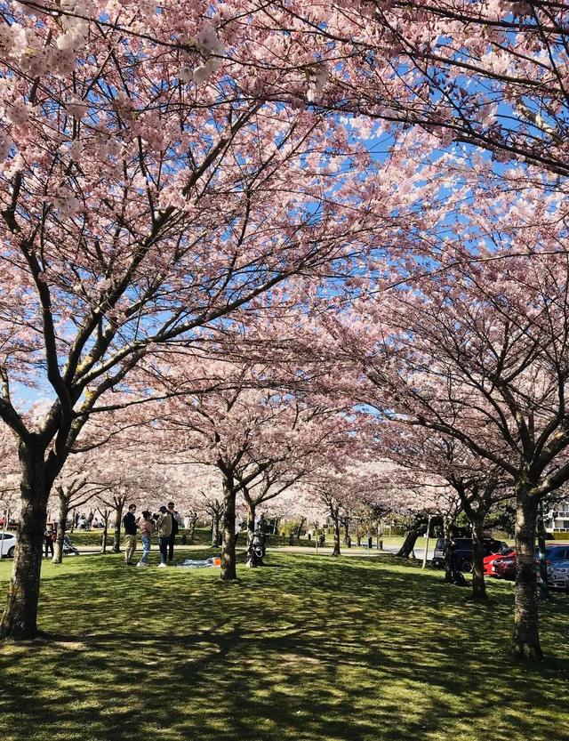 Richmond：大自然造就的島城