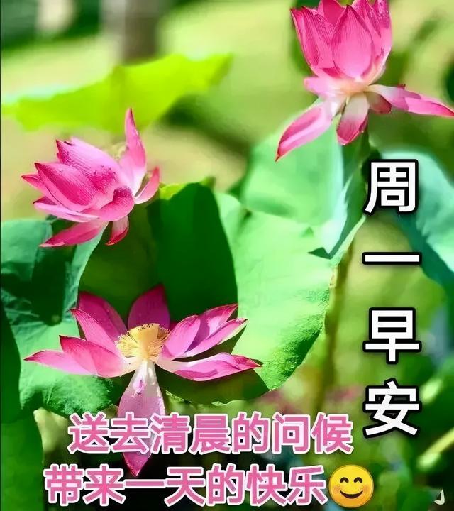 朋友们早上好 周一早上的温馨问候插图(1)