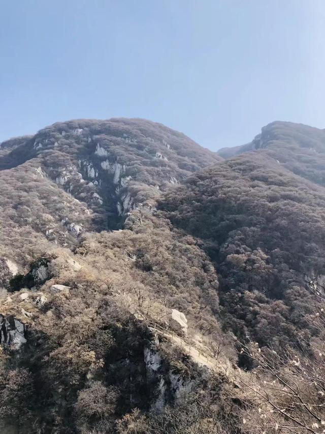 嵩山少林寺在哪