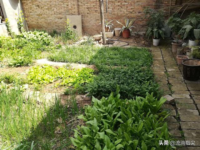 https://blog.sina.com.cn/s/blog_a9f6870c0102z2o3.html