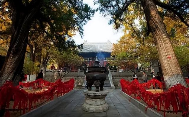 麦子诗歌九首