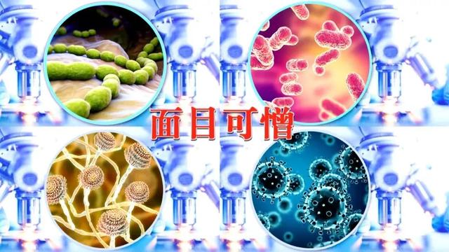 脱色过滤机经常混是什么原因