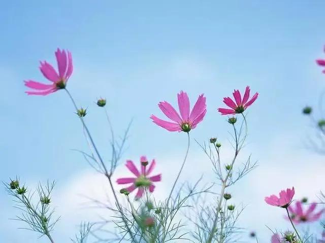 这世界有那么多人，多幸运我有个我们