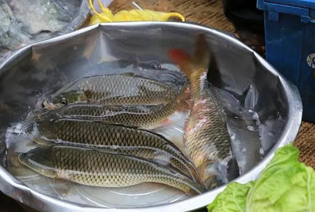 这5种鱼，都是“重金属鱼”，不能吃，很多人还经常买，别不懂了