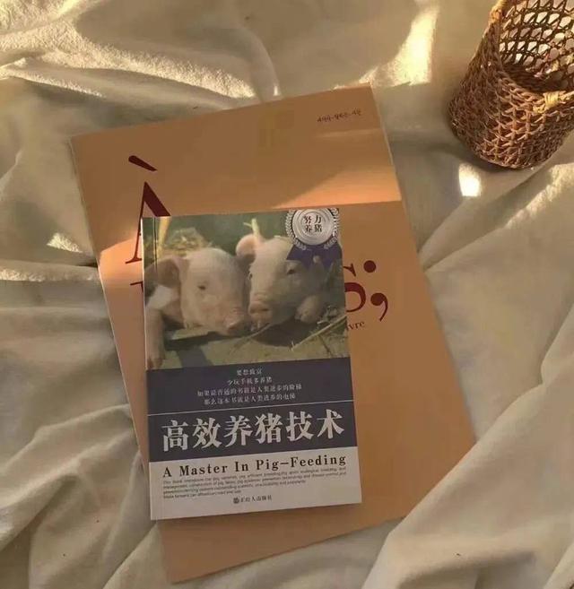今日份沙雕朋友圈背景图，请查收