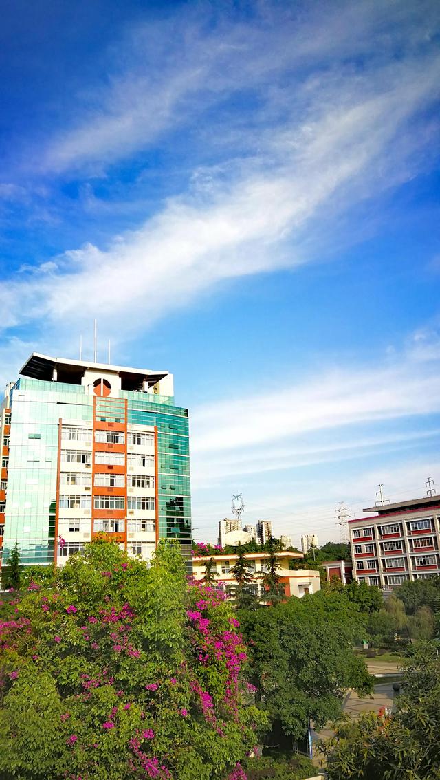 夏日里，美丽校园